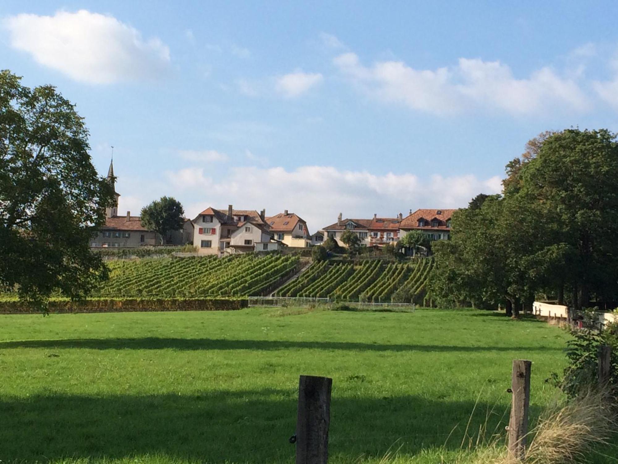 Le Chateau Lavigny Buitenkant foto