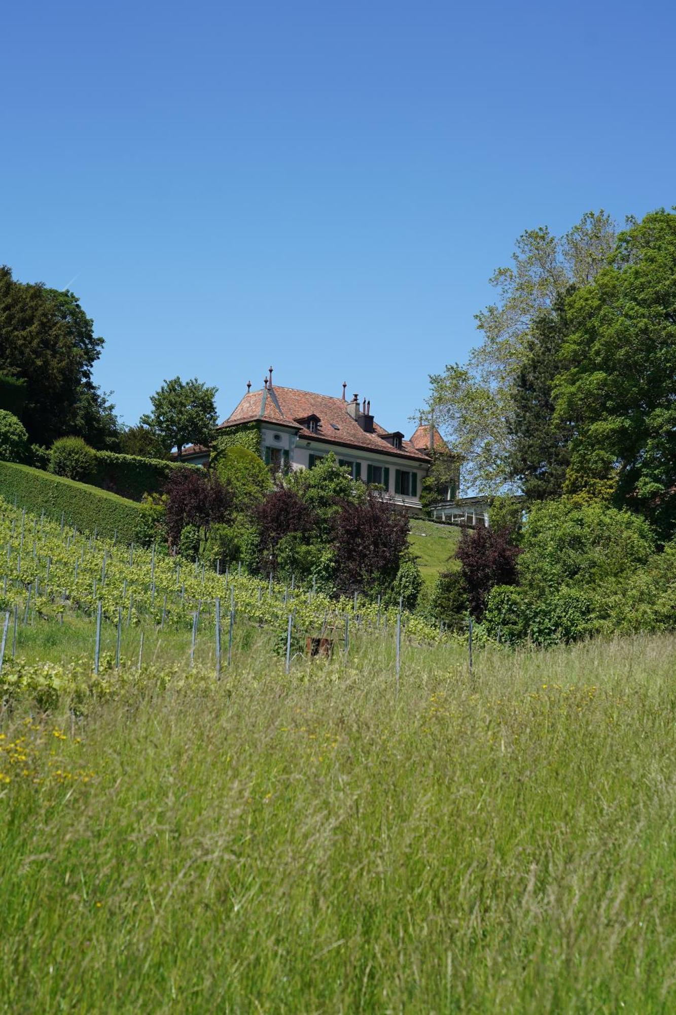 Le Chateau Lavigny Buitenkant foto