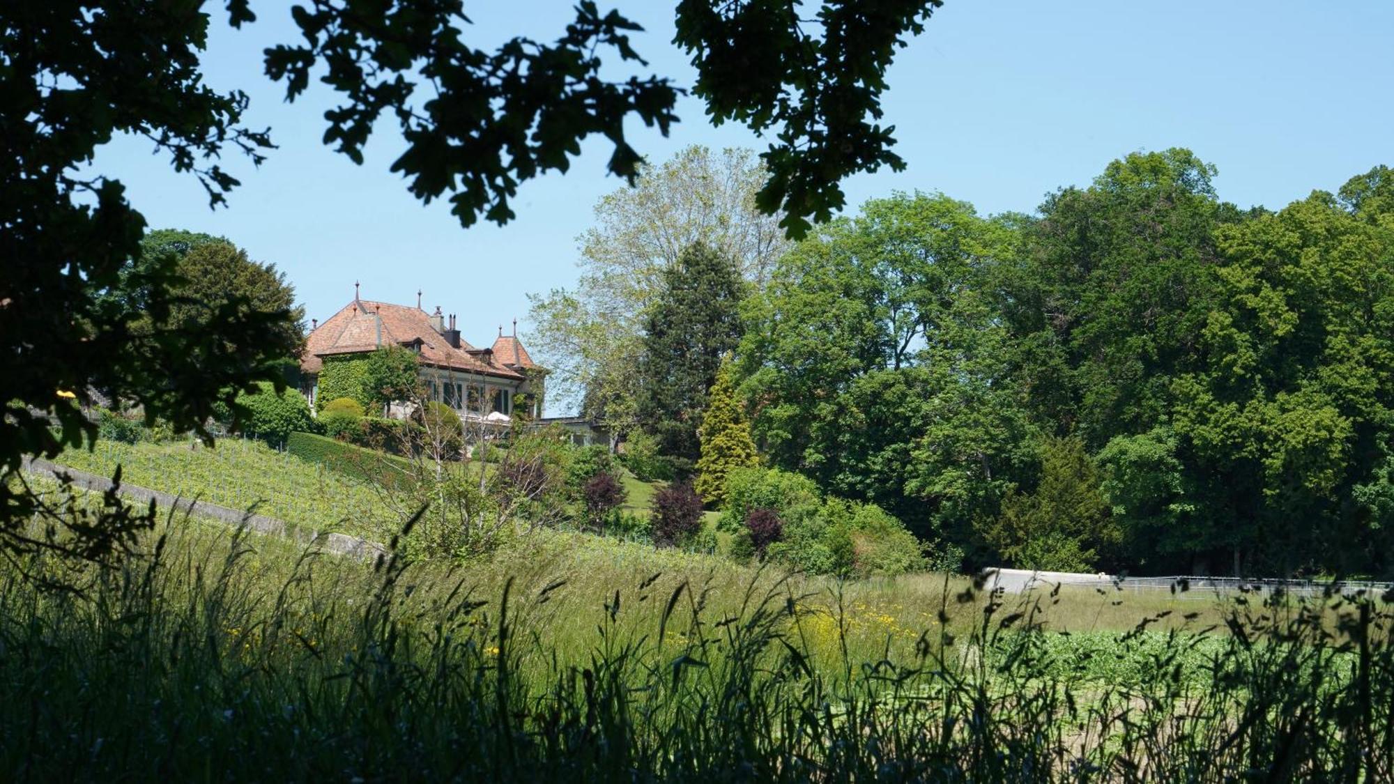 Le Chateau Lavigny Buitenkant foto